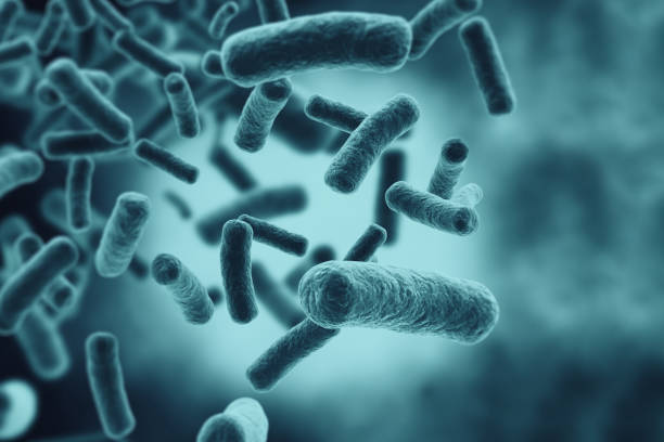 A Nation Under Siege by Disease: Cholera Sweeps Across Sudan